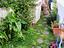 Immagine 12