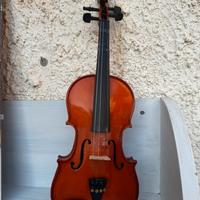 Violino