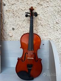 Violino