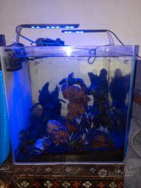 acquario 90 litri 
