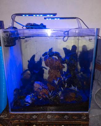 acquario 90 litri 