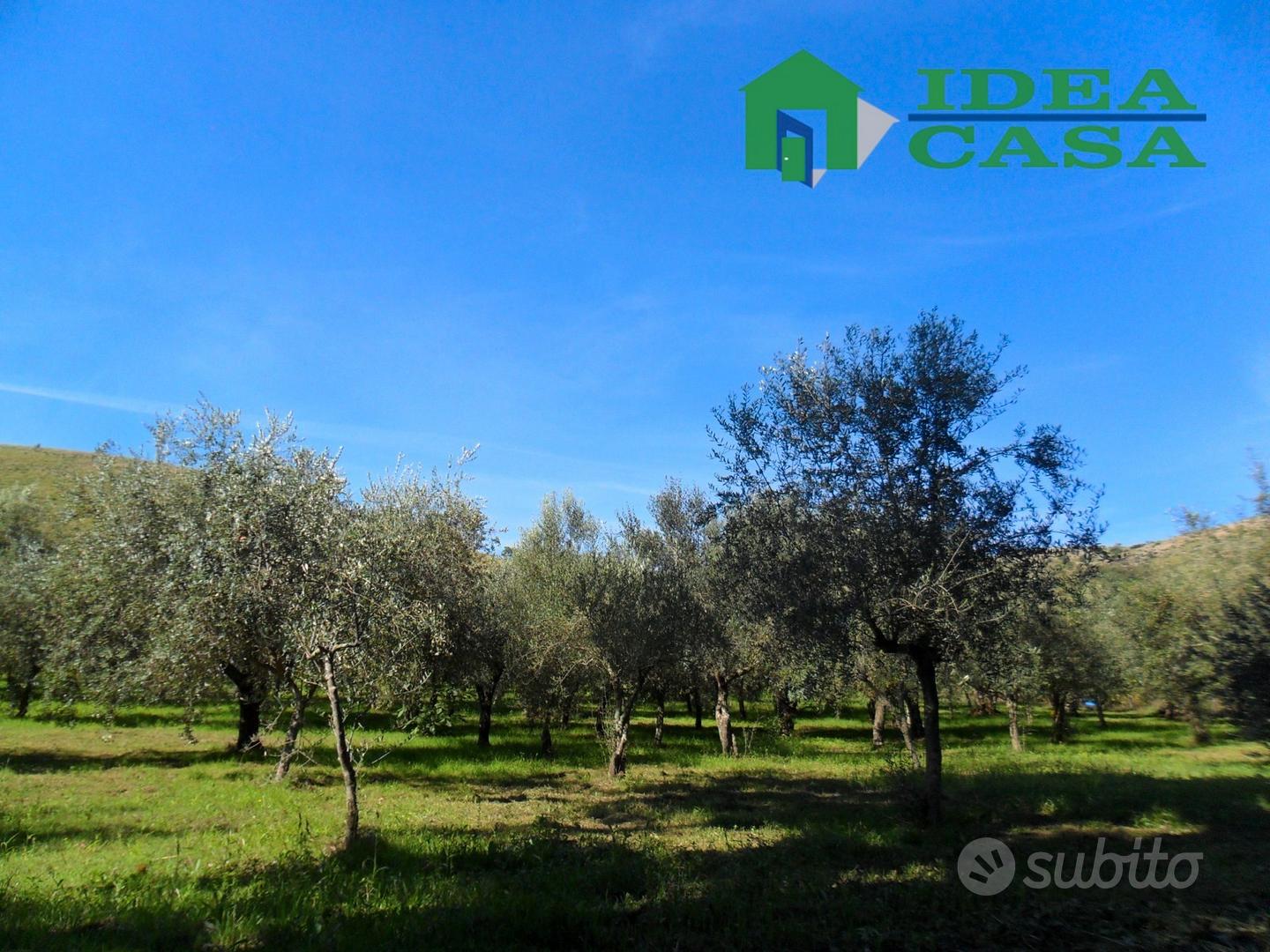 4500mq Terreno pianeggiante - Vista 6