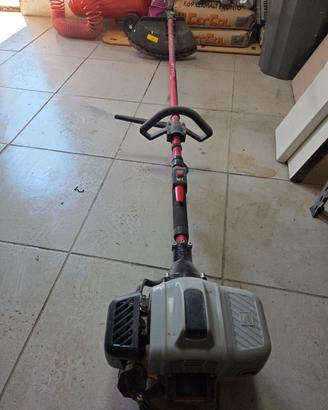 Decespugliatore a Scoppio