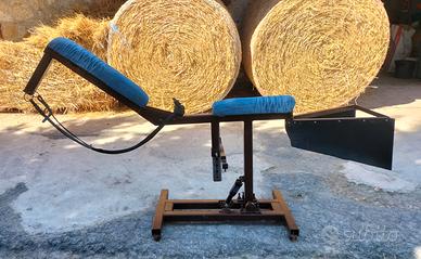 Cavallo meccanico usato