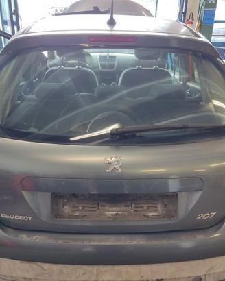 Portellone nudo PEUGEOT 207 del 2007