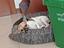Immagine 1