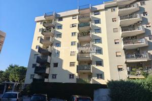 AMPIO QUADRILOCALE CON CANTINA E POSTO AUTO, VIA G