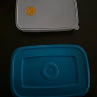 2 contenitori in plastica mai utilizzati.