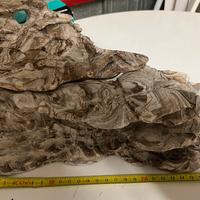 Roccia, decorazione acquario tartarughe e pesci