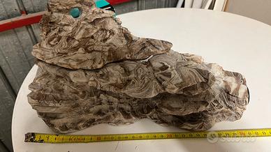 Roccia, decorazione acquario tartarughe e pesci