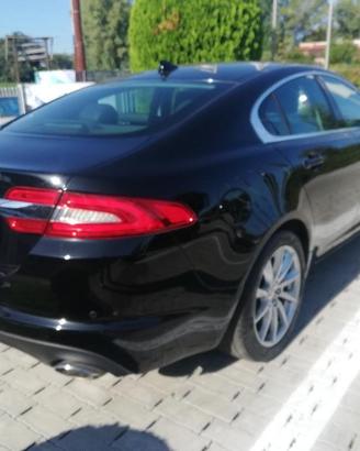 Jaguar XF 2.2 Turbo Diesel 200 CV Business Edition