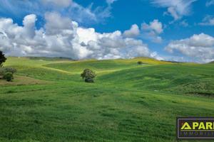 Terreno di 13500 m² a Canicattì