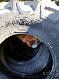 Gomme agricole