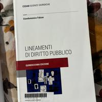 Lineamenti di Diritto Pubblico