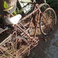 Bici aratro finestre