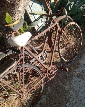 Bici aratro finestre