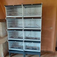 batteria italgabbie e voliera 