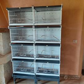 batteria italgabbie e voliera 