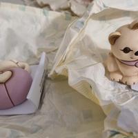 Gattino e Coccinella Thun x Bauli