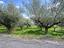 Immagine 10