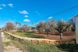 Terreno agricolo di 19288m2 edificabile e fraz