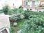 Immagine 29