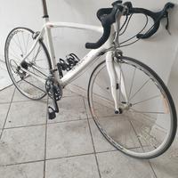 Bici Da Corsa Monoscocca Carbonio Shimano Ultegra