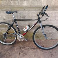 Biciclette da 150/200 euro