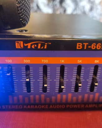 Casse Magnat + amplificatore Bluetooth e microfono