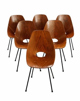 sei edie Medea marchiate