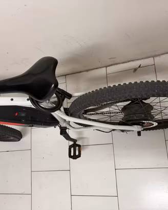 Bici elettrica