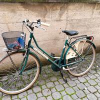 Bici olandese ben tenuta