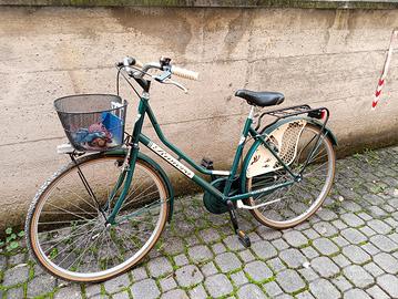 Bici olandese ben tenuta