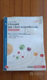 l'amaldi per licei scientifici blu 1