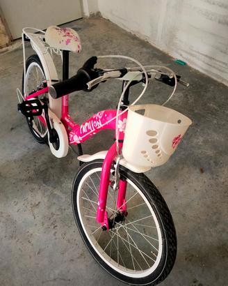 bicicletta 