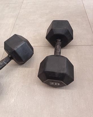 Manubrio 20kg