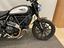Immagine 4