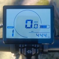Bicicletta elettrica