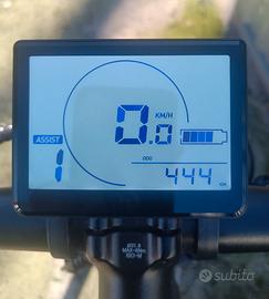 Bicicletta elettrica