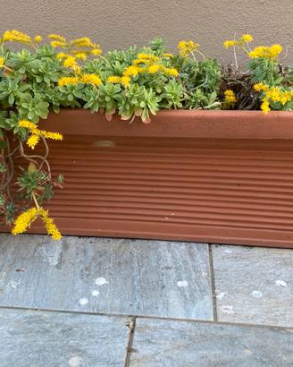 Vaso in resina tipo terracotta