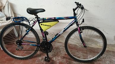 Mountain bike