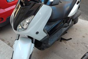 Xmax 250