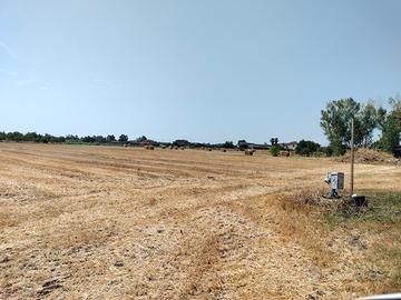 Terreno ha 1,5