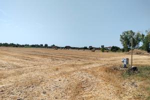 Terreno ha 1,5