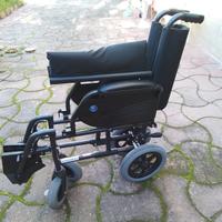sedia a rotelle 