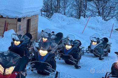 Motoslitte Yamaha e Lynx – Lotto 7 motoslitte