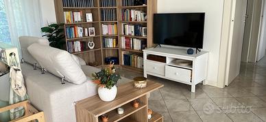 Mobile tv