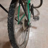 Bici montainbike