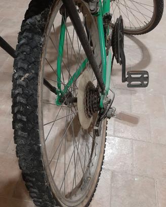 Bici montainbike