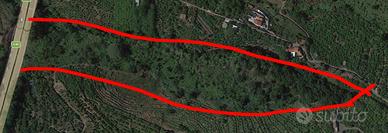 Terreno con ruderi